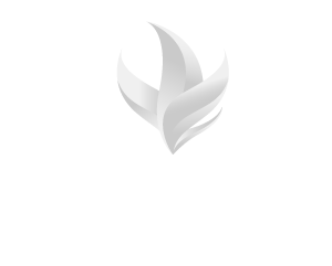 Logo Tree Holding
